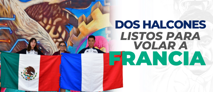Dos halcones entusiastas listos para volar a Francia
